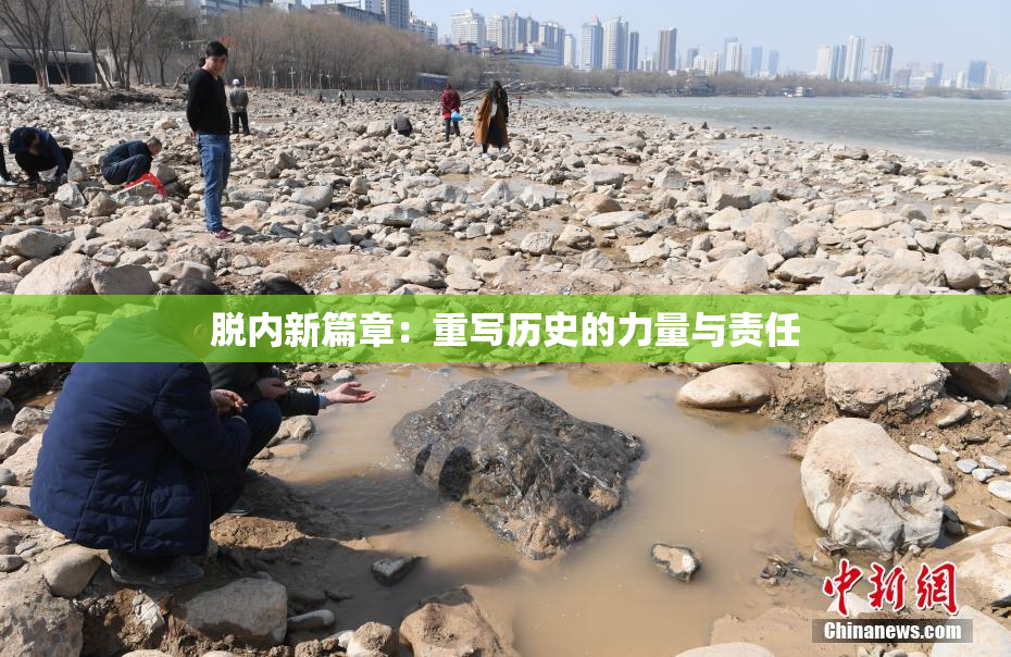 脱内新篇章：重写历史的力量与责任
