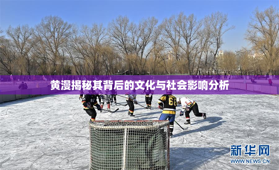 黄漫揭秘其背后的文化与社会影响分析