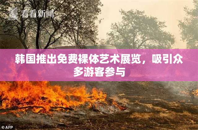 韩国推出免费裸体艺术展览，吸引众多游客参与
