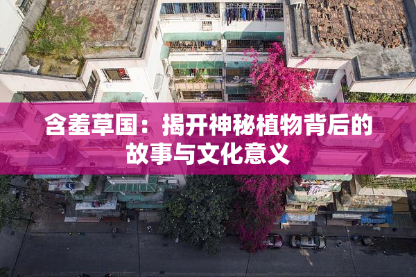 含羞草国：揭开神秘植物背后的故事与文化意义