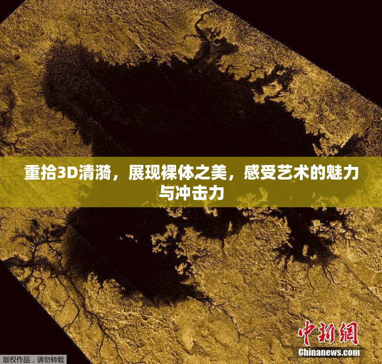 重拾3D清漪，展现裸体之美，感受艺术的魅力与冲击力