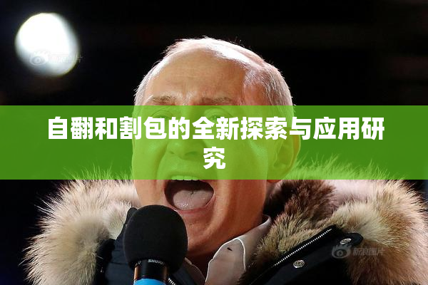 自翻和割包的全新探索与应用研究