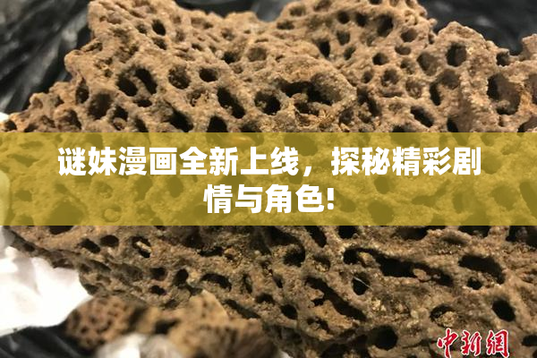 谜妹漫画全新上线，探秘精彩剧情与角色!