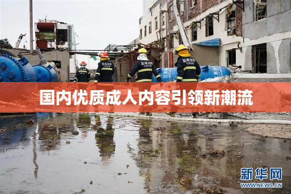 国内优质成人内容引领新潮流