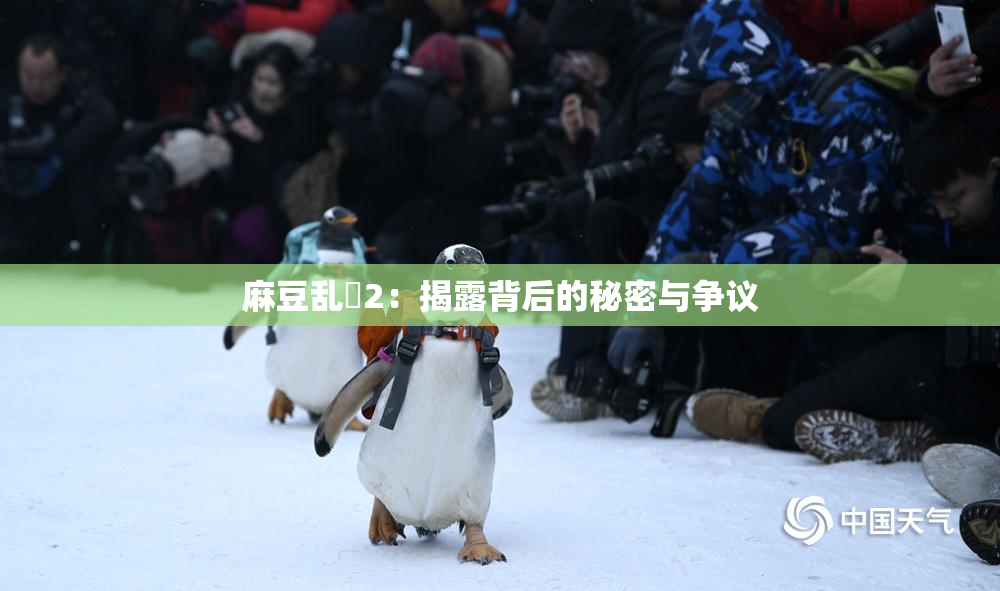 麻豆乱婬2：揭露背后的秘密与争议