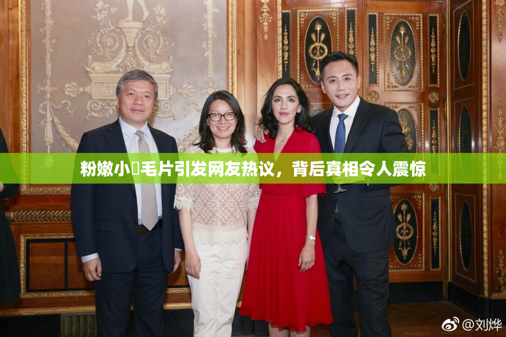 粉嫩小泬毛片引发网友热议，背后真相令人震惊