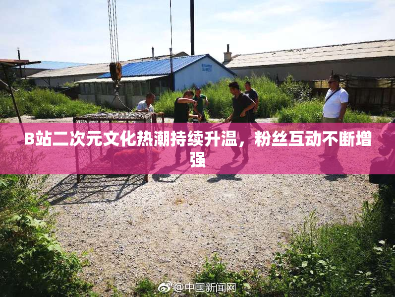 B站二次元文化热潮持续升温，粉丝互动不断增强
