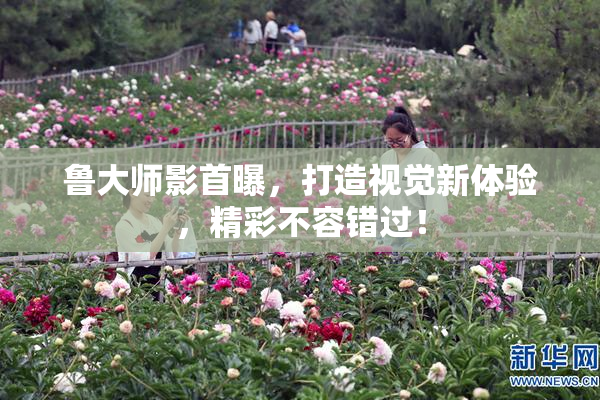 鲁大师影首曝，打造视觉新体验，精彩不容错过！