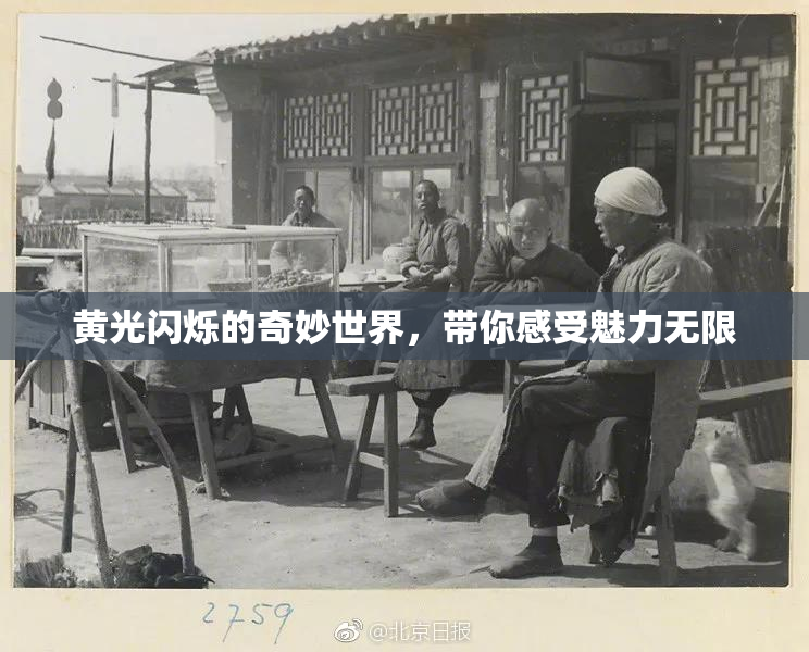 黄光闪烁的奇妙世界，带你感受魅力无限