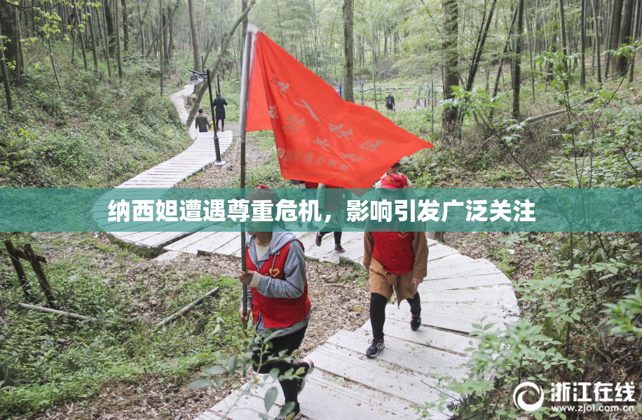 纳西妲遭遇尊重危机，影响引发广泛关注