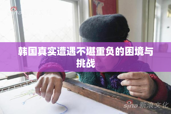 韩国真实遭遇不堪重负的困境与挑战