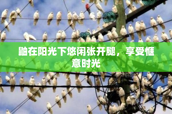 鼬在阳光下悠闲张开腿，享受惬意时光