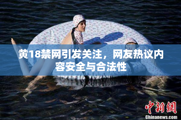 黄18禁网引发关注，网友热议内容安全与合法性