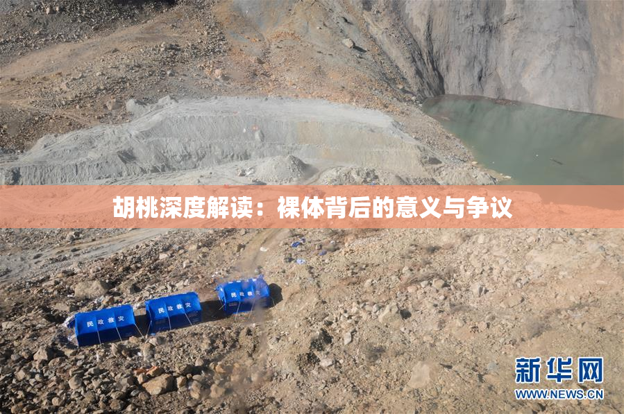胡桃深度解读：裸体背后的意义与争议