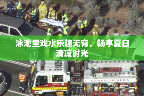 泳池里戏水乐趣无穷，畅享夏日清凉时光