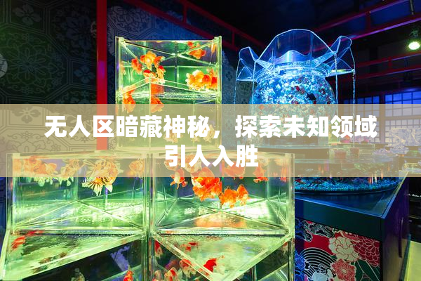 无人区暗藏神秘，探索未知领域引人入胜