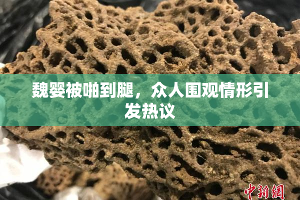 魏婴被啪到腿，众人围观情形引发热议