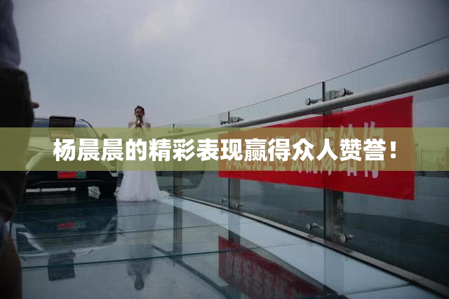 杨晨晨的精彩表现赢得众人赞誉！