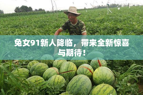 兔女91新人降临，带来全新惊喜与期待！