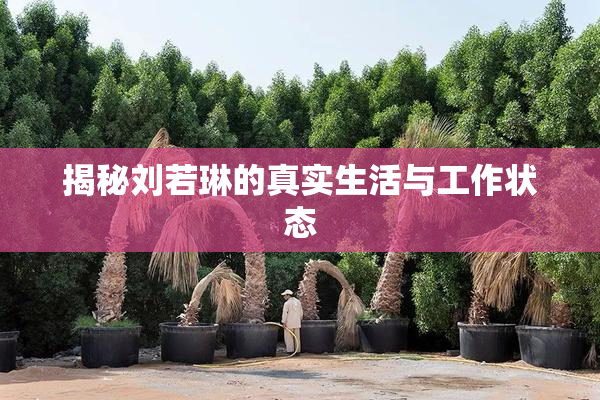 揭秘刘若琳的真实生活与工作状态