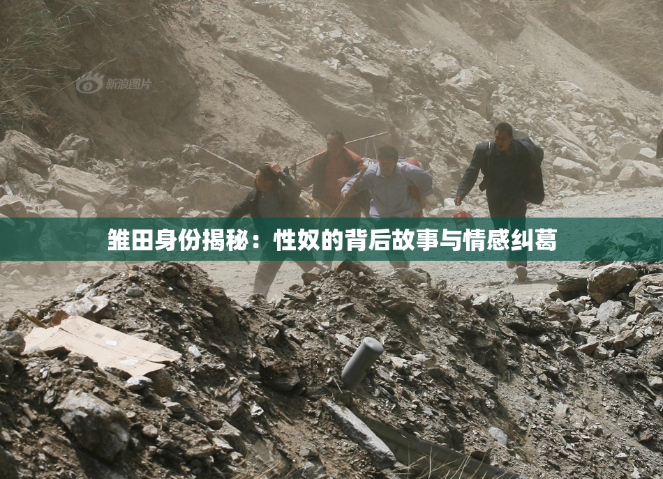 雏田身份揭秘：性奴的背后故事与情感纠葛