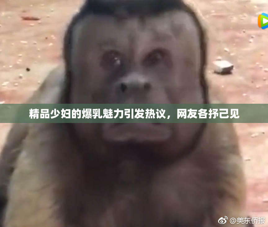 精品少妇的爆乳魅力引发热议，网友各抒己见