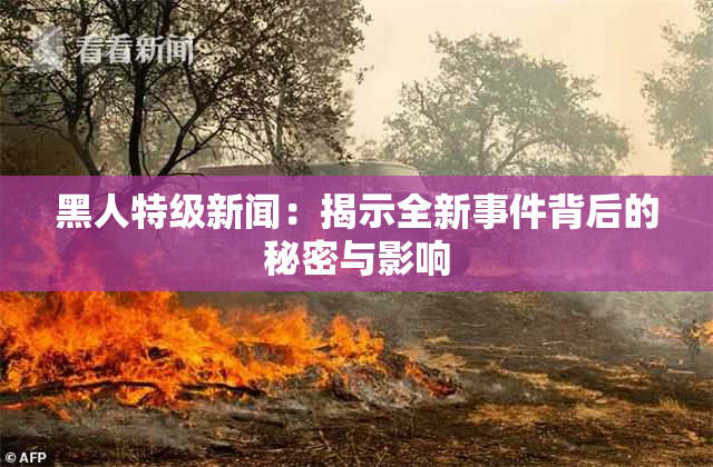 黑人特级新闻：揭示全新事件背后的秘密与影响
