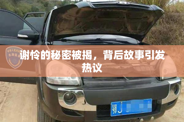 谢怜的秘密被揭，背后故事引发热议