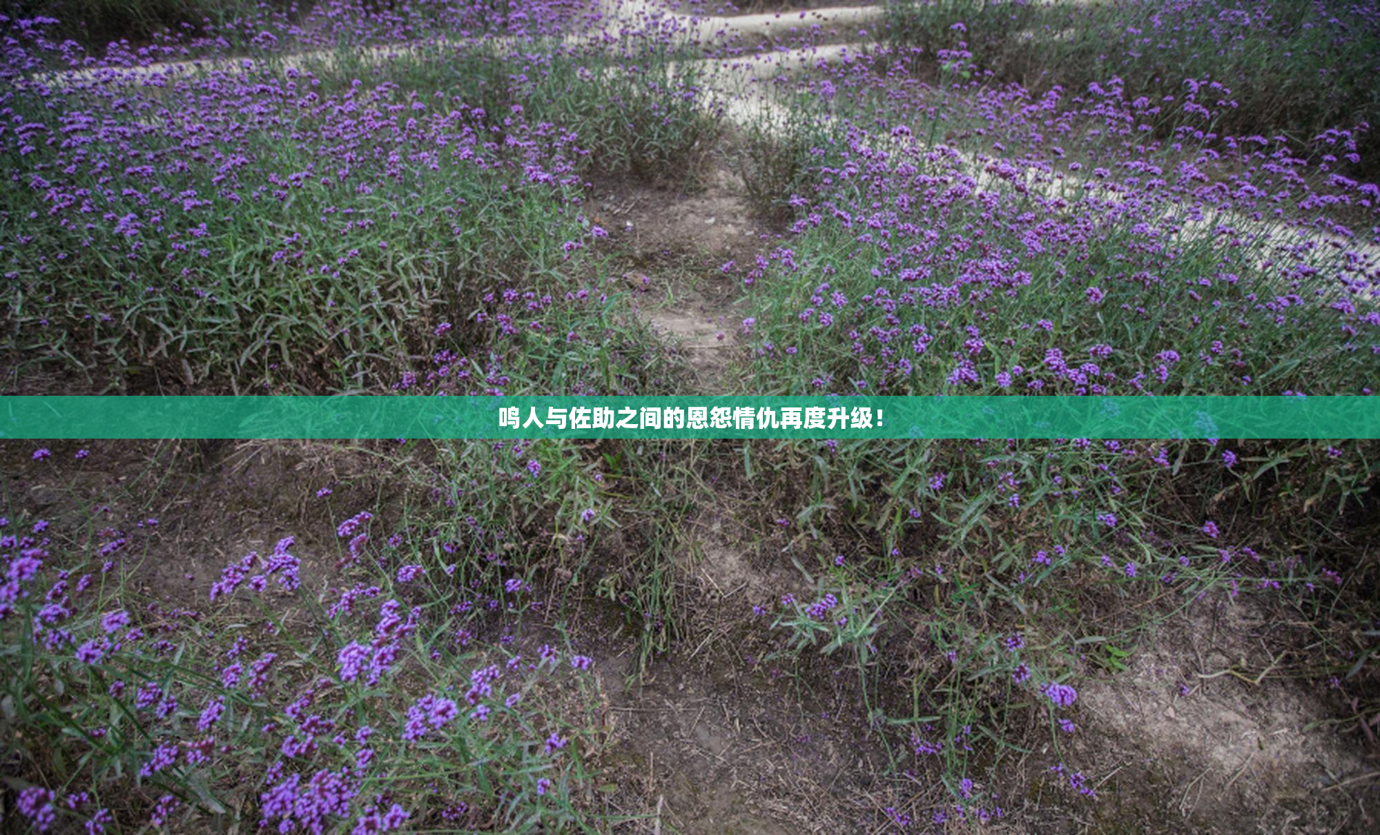 鸣人与佐助之间的恩怨情仇再度升级！