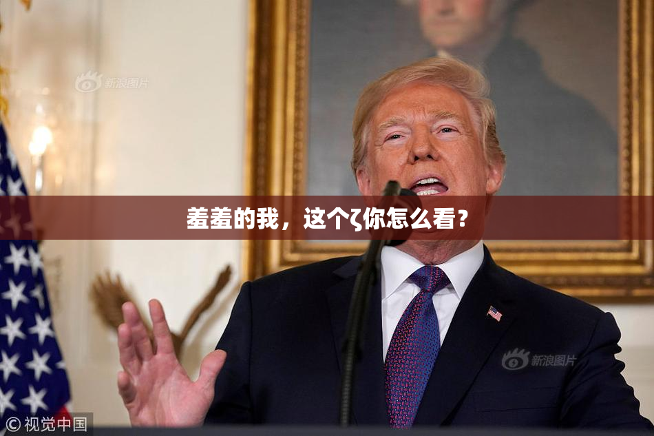 羞羞的我，这个ζ你怎么看？