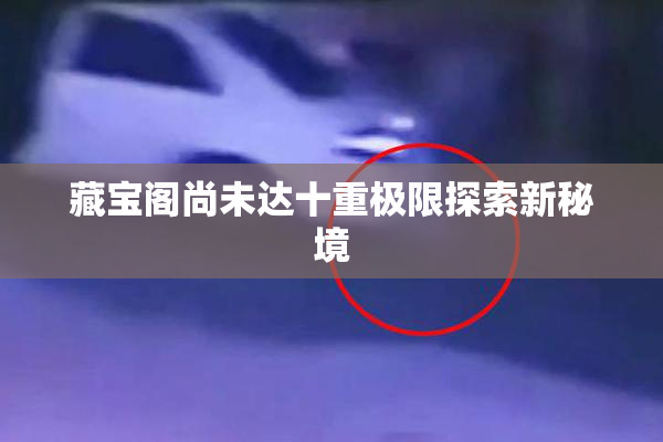 藏宝阁尚未达十重极限探索新秘境