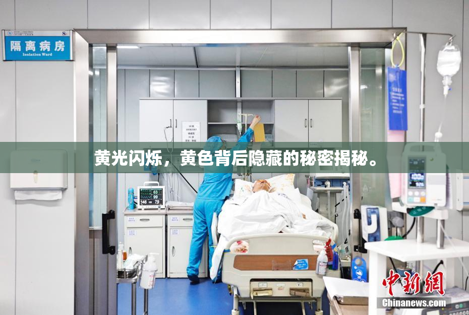 黄光闪烁，黄色背后隐藏的秘密揭秘。