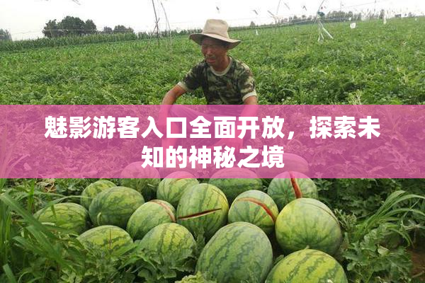 魅影游客入口全面开放，探索未知的神秘之境