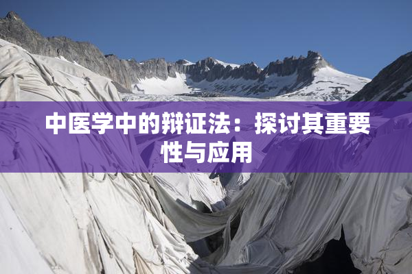 中医学中的辩证法：探讨其重要性与应用
