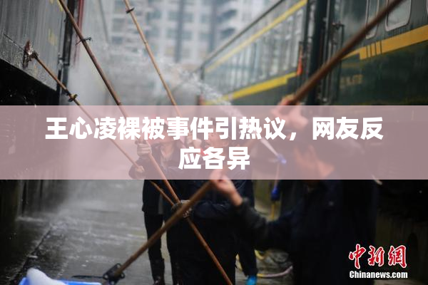 王心凌裸被事件引热议，网友反应各异