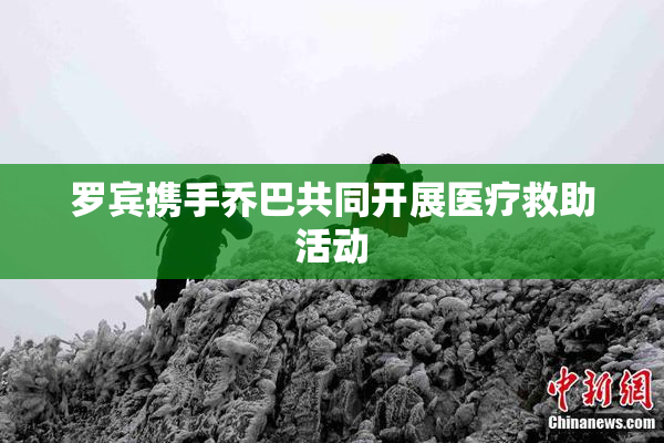 罗宾携手乔巴共同开展医疗救助活动