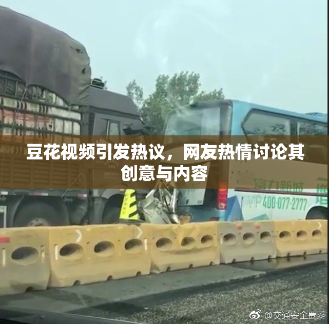 豆花视频引发热议，网友热情讨论其创意与内容