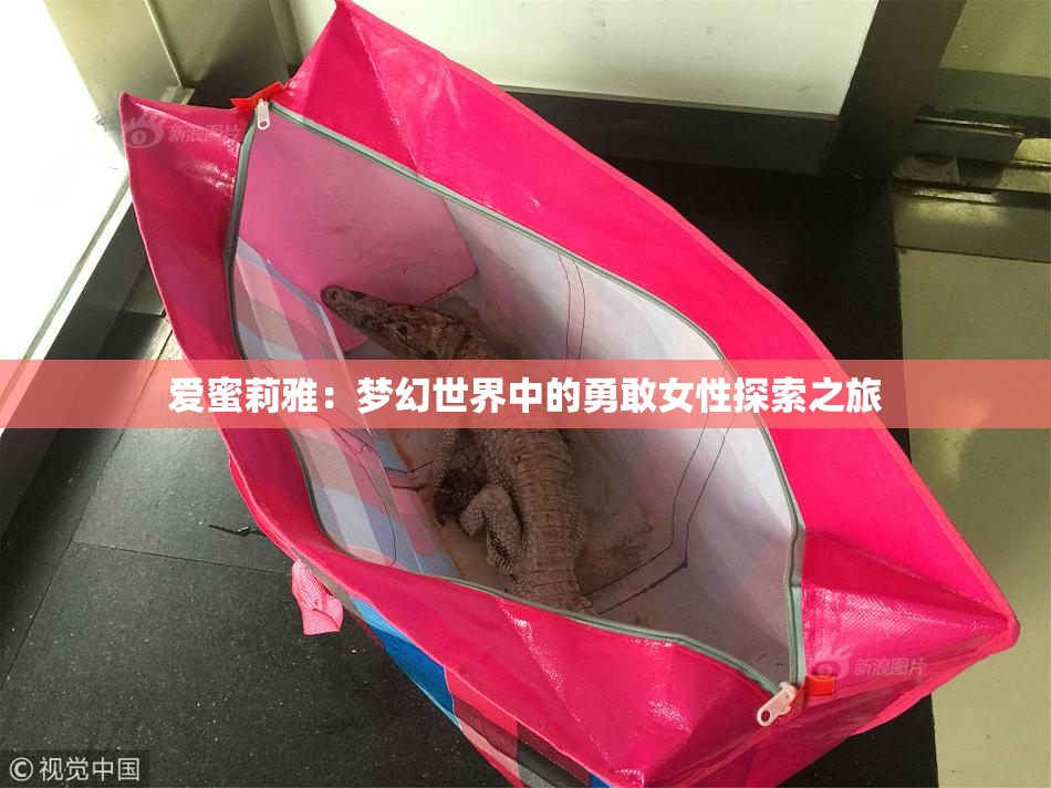 爱蜜莉雅：梦幻世界中的勇敢女性探索之旅