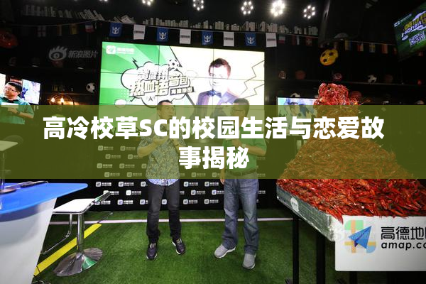 高冷校草SC的校园生活与恋爱故事揭秘