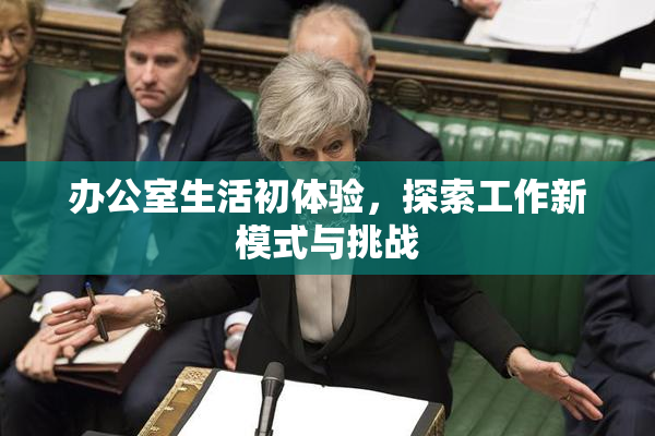 办公室生活初体验，探索工作新模式与挑战
