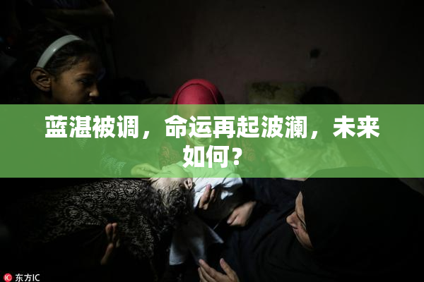 蓝湛被调，命运再起波澜，未来如何？
