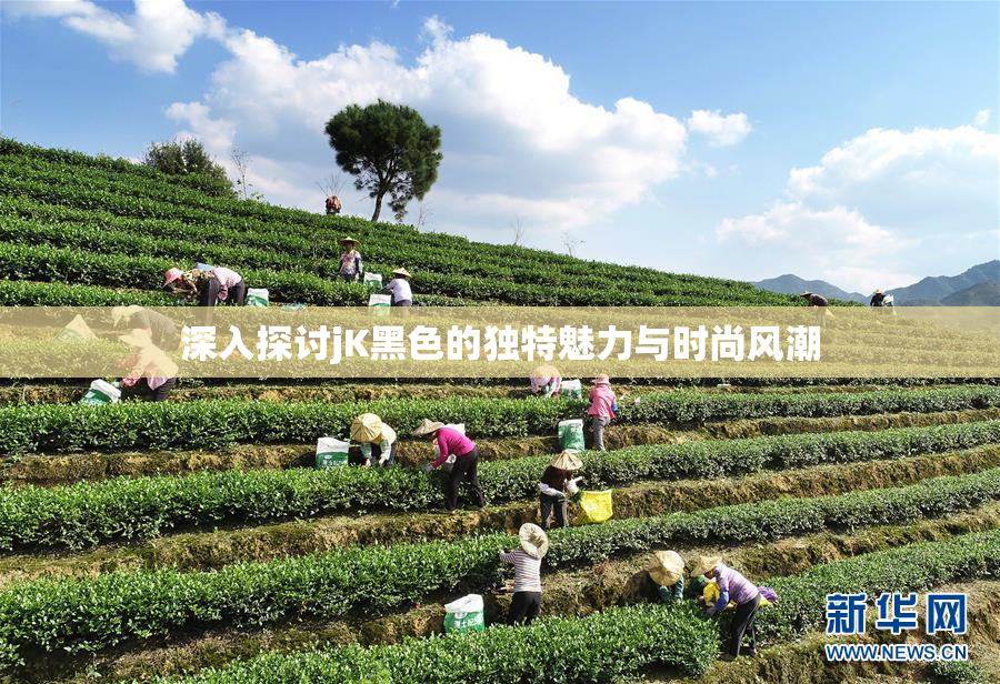 深入探讨jK黑色的独特魅力与时尚风潮