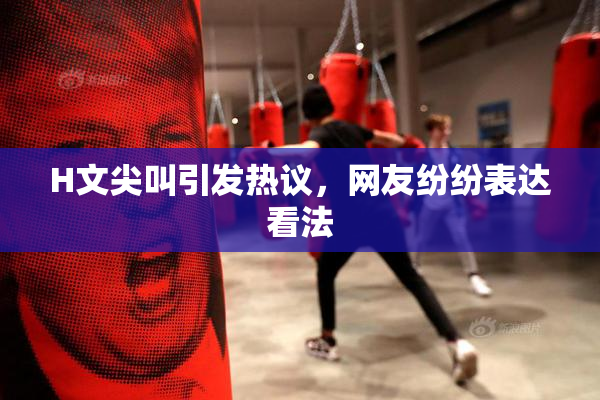 H文尖叫引发热议，网友纷纷表达看法
