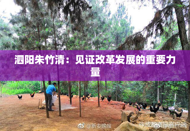 泗阳朱竹清：见证改革发展的重要力量