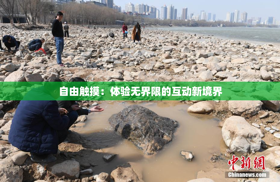 自由触摸：体验无界限的互动新境界