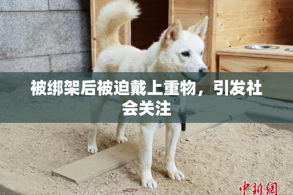 被绑架后被迫戴上重物，引发社会关注