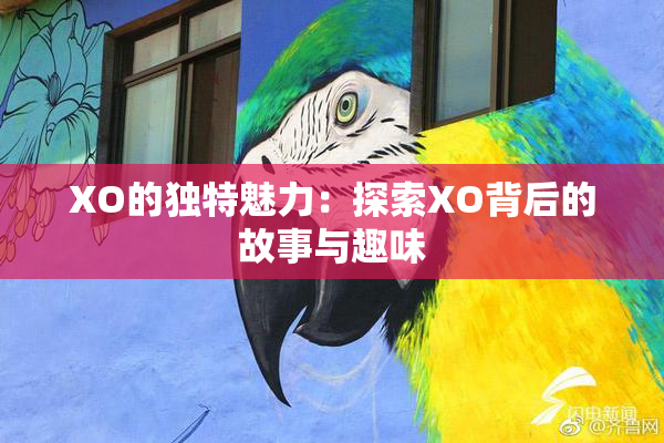 XO的独特魅力：探索XO背后的故事与趣味