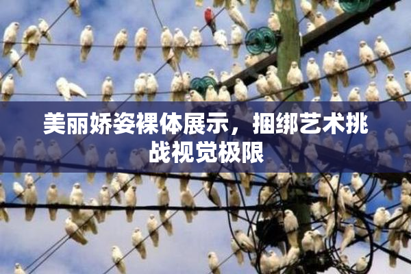美丽娇姿裸体展示，捆绑艺术挑战视觉极限