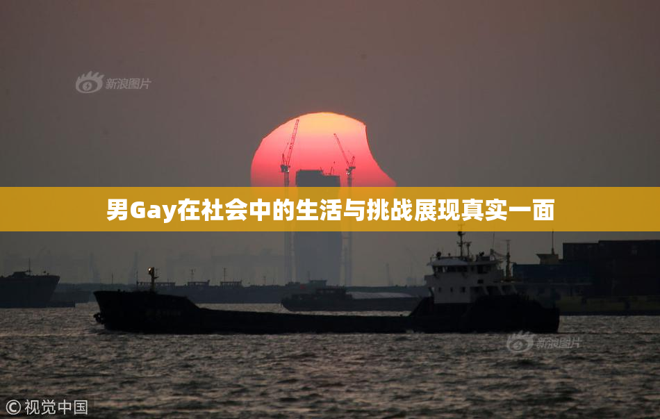 男Gay在社会中的生活与挑战展现真实一面