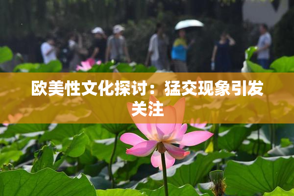 欧美性文化探讨：猛交现象引发关注